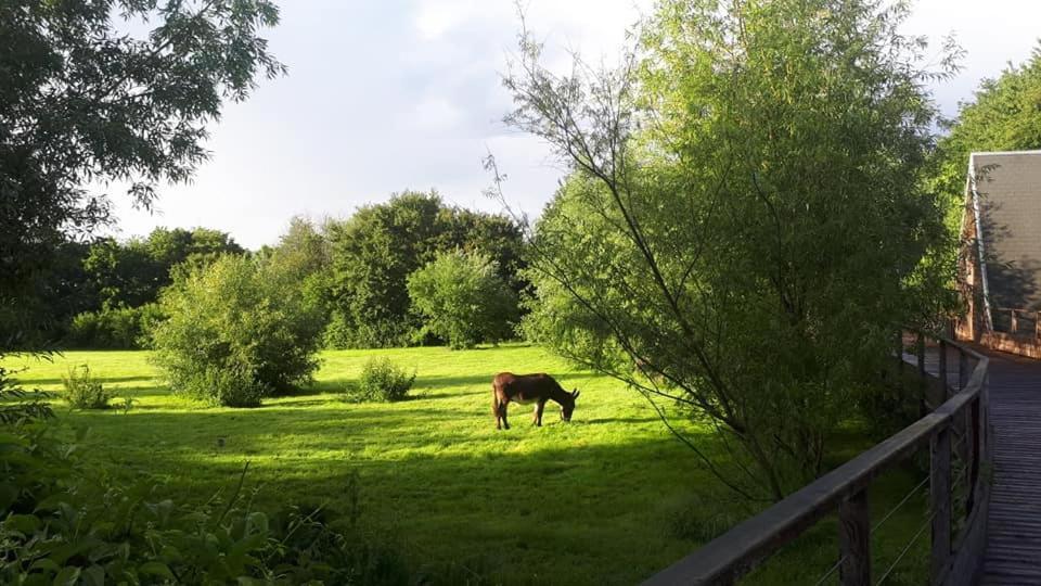 La Petite Motte Villa Ceton Dış mekan fotoğraf